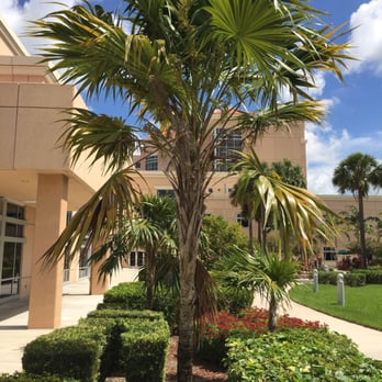 Torres Danette MD - Florida Palm - Pediatricians Near Me - Homestead, Florida Torres Danette MD - Florida Palm - Pediatricians Near Me - Homestead, Florida
