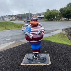 Freedom Hokie