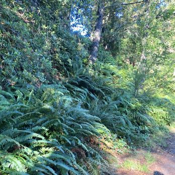 Tilden Regional Park - Parks Near Me - Berkeley, California