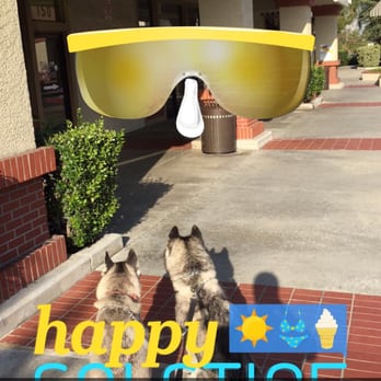 The Dog Zone - Pet Groomers Near Me - Monrovia, California