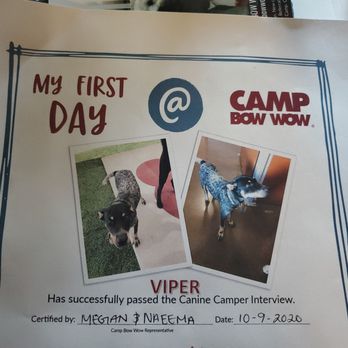 Camp Bow Wow - Day 1! - Pet Boarding Near Me - Phoenix, Arizona
