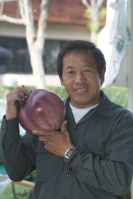 Santa Teresa Farmers' Market by null