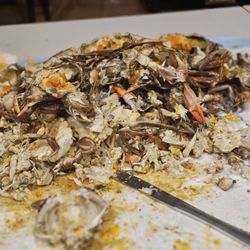Maryland's Fresh Seafood - Sorry, crushed them forgot to do a before photo.