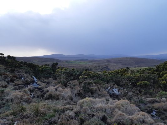 Diamond Hill by null