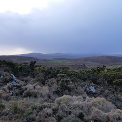 Diamond Hill