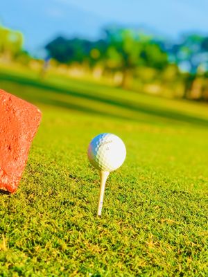 Palmetto-Pine Country Club by null