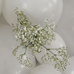 Flowerama - This is one of the baby's breath right after I purchased them and used it for my setup . She showed me a nice stem and then came back with 2