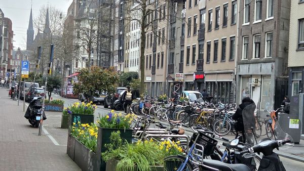 The Black Dog by null