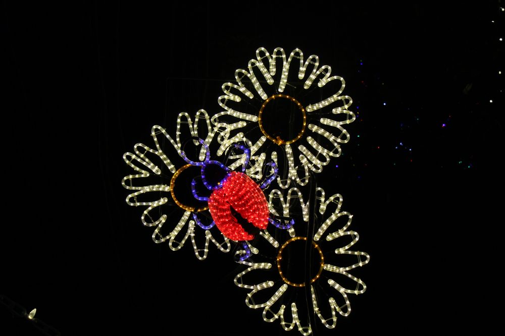 CAPITOL PEST MANAGEMENT Updated September 2024 PO Box 8705, Boise, Idaho Pest Control