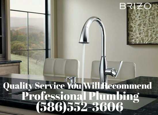 Professional Plumbing