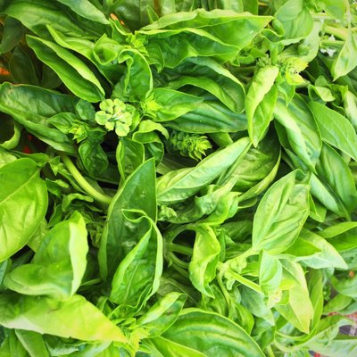 Placergrown Farmers' Market, Fountains at Roseville by null