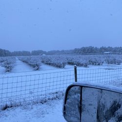 Twin Creek Ranch Blueberries - Snow at Twin Creek Ranch Blueberries. 2022
