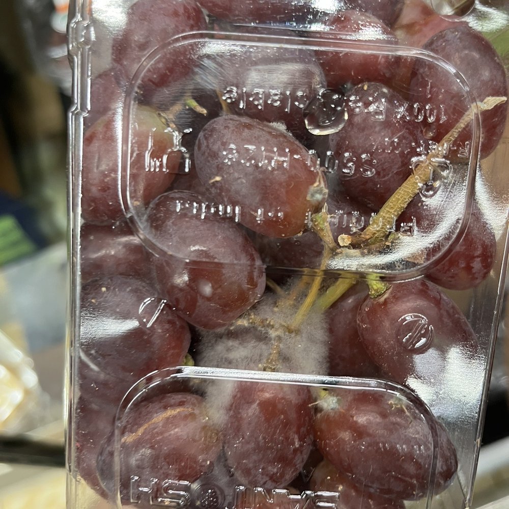 ALDI - More moldy grapes - Grocery Near Me - Omaha, Nebraska ALDI - More moldy grapes - Grocery Near Me - Omaha, Nebraska