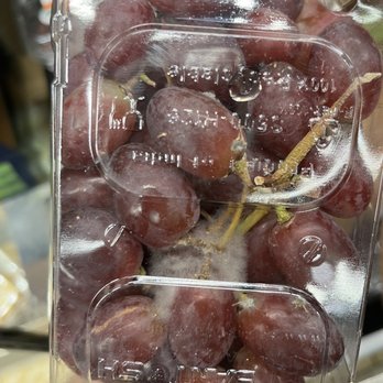 ALDI - More moldy grapes - Grocery Near Me - Omaha, Nebraska ALDI - More moldy grapes - Grocery Near Me - Omaha, Nebraska