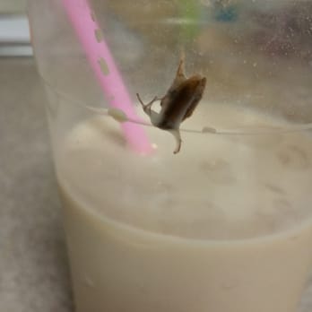 Twinkle Tea - Alhambra - Coffee & Tea Near Me - Alhambra, California Twinkle Tea - Alhambra - Coffee & Tea Near Me - Alhambra, California