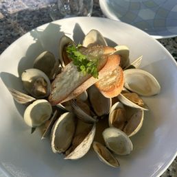 Steamed Clams