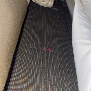 Wingate by Wyndham St. George - Food under the pull out couch - Hotels Near Me - Saint George, Utah Wingate by Wyndham St. George - Food under the pull out couch - Hotels Near Me - Saint George, Utah