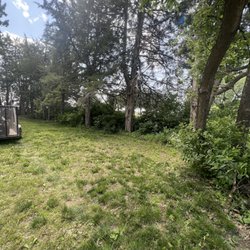 Precision Mowing Services - Before