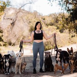 Packwalksam - Pack walk , pack family! Love each and every one of these precious pups.