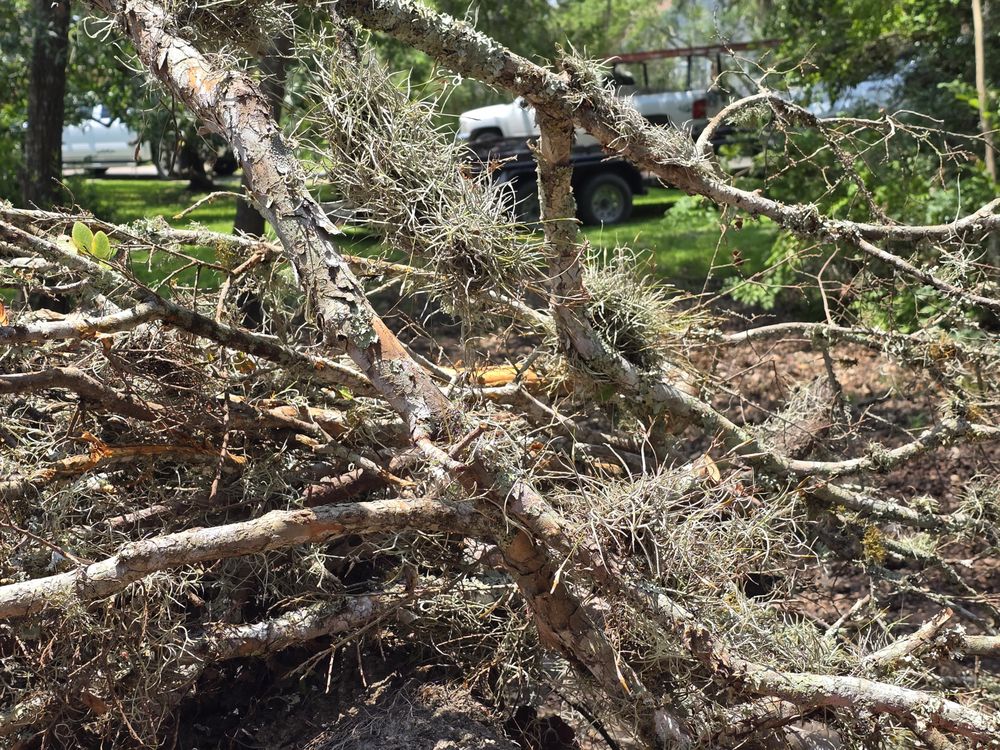 Slide of South Texas House Leveling