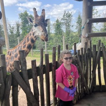 Twycross Zoo - Zoos Near Me - Atherstone, WAR Twycross Zoo - Zoos Near Me - Atherstone, WAR