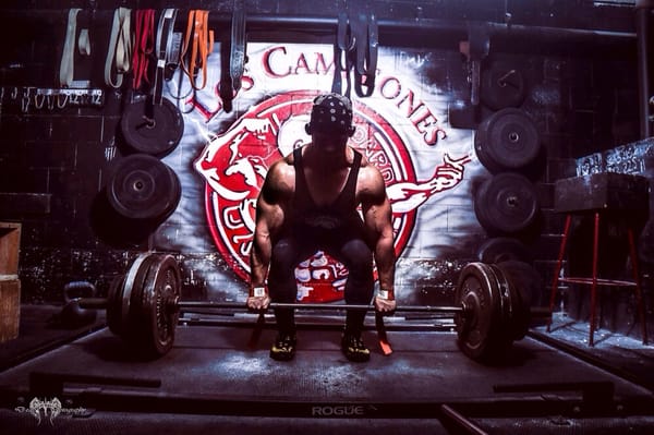 Los Campeones Gym Franklin by null