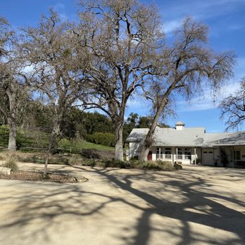 Pasolivo Ranch - Olive Oil Near Me - Paso Robles, California Pasolivo Ranch - Olive Oil Near Me - Paso Robles, California