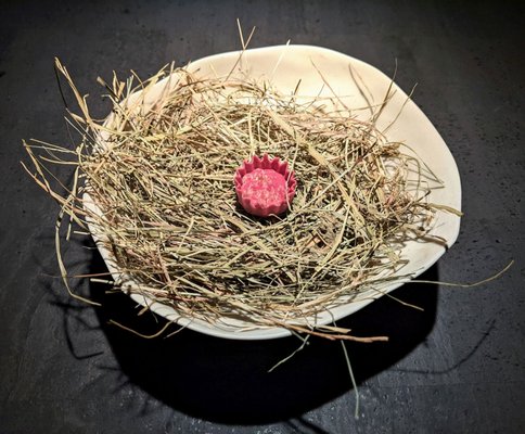 Pramerl and the Wolf by null