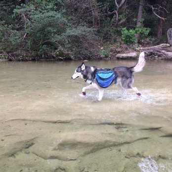 Inga's Trail - Hiking Near Me - Austin, Texas