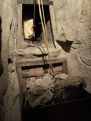 Arizona Museum of Natural History by null