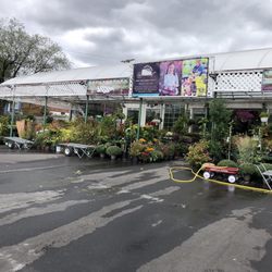 Hampton Nursery - The front of Hampton Nusery