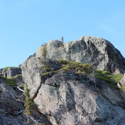 Alaska Wildland Adventures - Juvenile eagle.