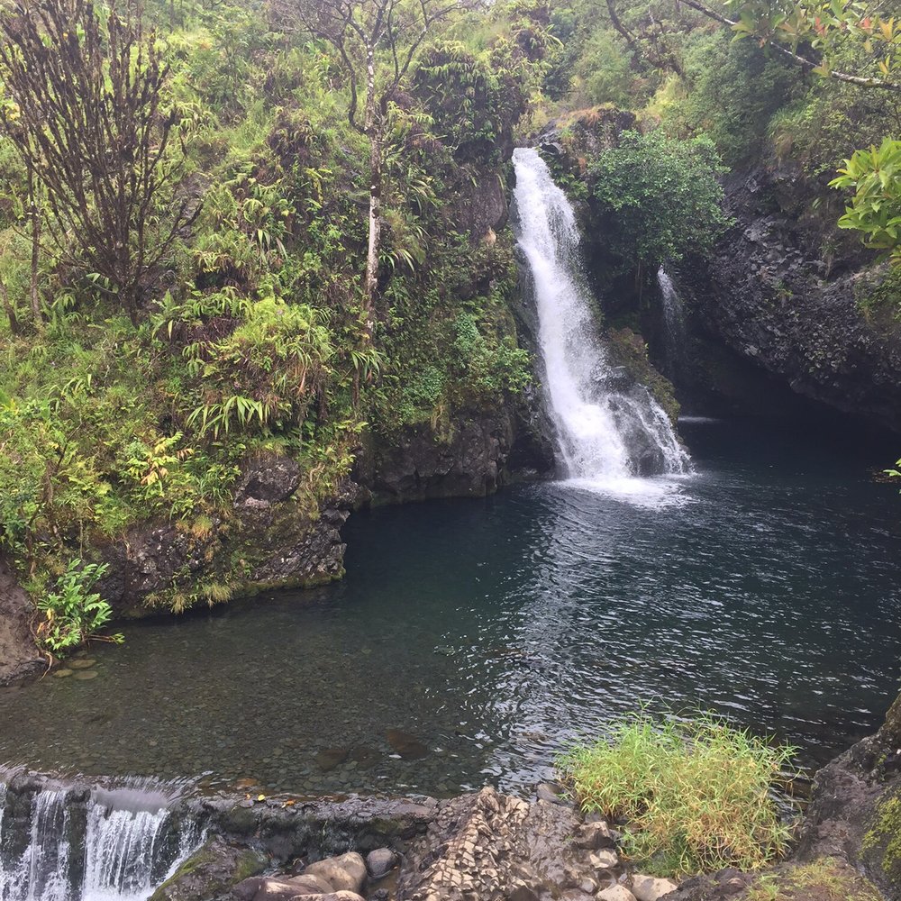 Sandy Cheeks Tours - Tours Near Me Sandy Cheeks Tours - Tours Near Me