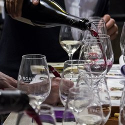 Food Wine Tours - cata de vinos / Wine Tasting