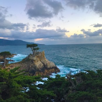 The Lone Cypress - 3.5.17 - Landmarks & Historical Buildings Near Me - Del Monte Forest, California