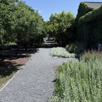 Frog's Leap Winery - Wineries Near Me - Rutherford, California