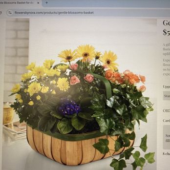 Flowers By Nora - left is their advertising right is what they sent!! Basically a weed!! and a lil starter plant! cheap looking and ridiculous! - Floral Designers Near Me