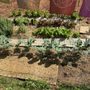 Photo of Sunny Hill Greenhouses & Nursery