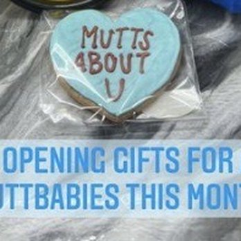 Arthur’s Barkery - Valentine's Day frosted cookies - Pet Services Near Me