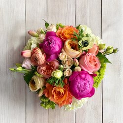B'z Blooms