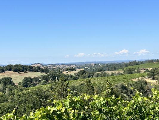 Iron Hub Winery by null