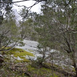 Dixon Springs State Park - Colors