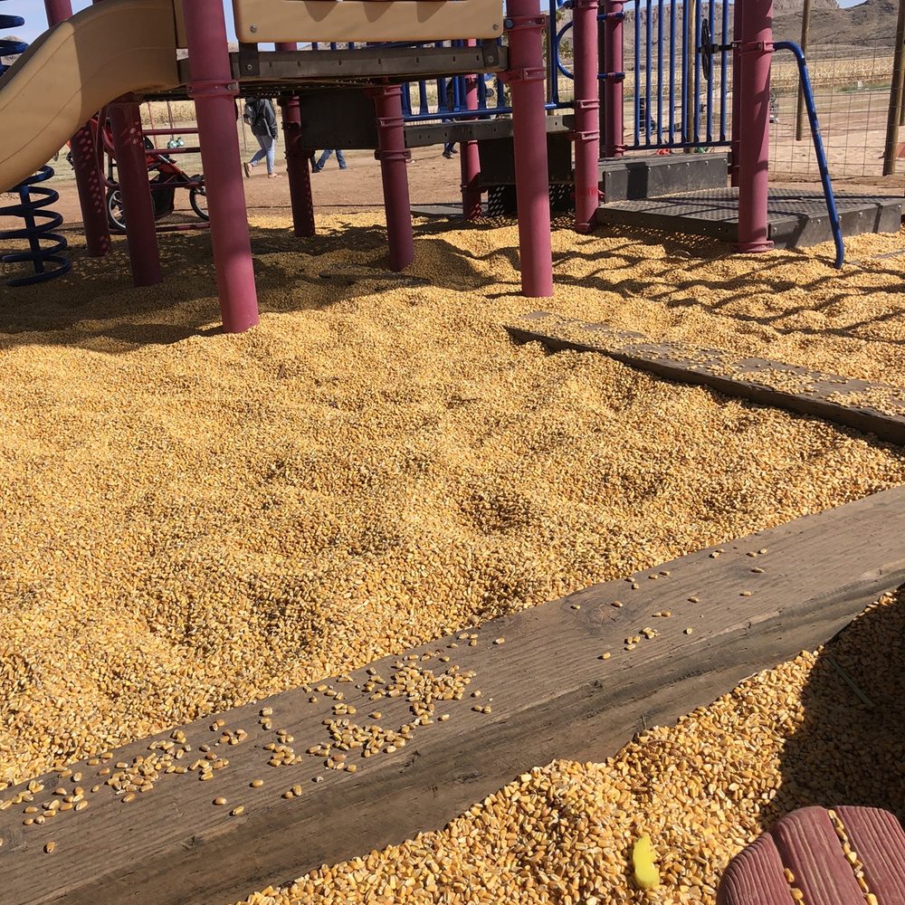 Moapa Valley Cornmaze - Playground where the sand is all corn! Make sure your kids don't eat it lol - Attraction Farms Near Me - Logandale, Nevada