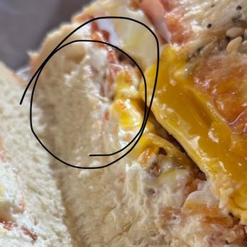 El Bagel - an egg and ham sandwich - Bagels Near Me - Coconut Grove, Florida El Bagel - an egg and ham sandwich - Bagels Near Me - Coconut Grove, Florida