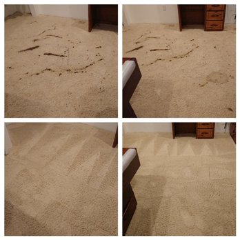 Oxi Fresh Carpet Cleaning - I Give you one guess what this was. - Carpet Cleaning Near Me Oxi Fresh Carpet Cleaning - I Give you one guess what this was. - Carpet Cleaning Near Me