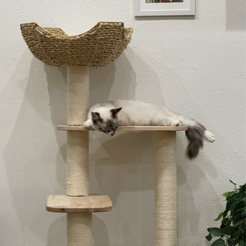 Fluffy Tail Cafe - Coffee & Tea Near Me - Tustin, California