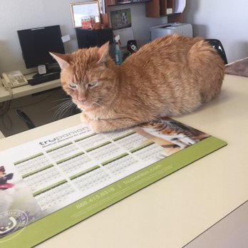 Crossroads Animal Hospital - Veterinarians Near Me - Folsom, California Crossroads Animal Hospital - Veterinarians Near Me - Folsom, California