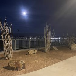 Dreamcatcher to Havasu Landing Resort & Casino