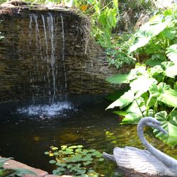 Inside the Conservatory