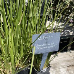 Pearson's Garden & Herb Farm